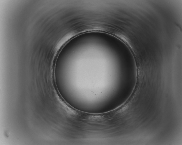 X0000099531135200805231055
