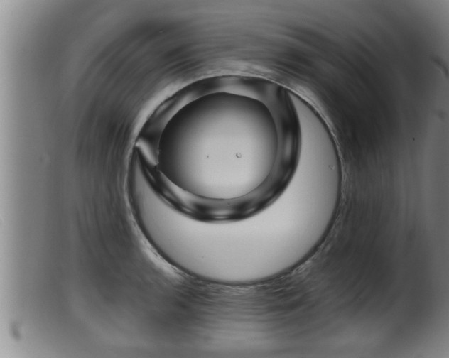 X0000099531136200805231055