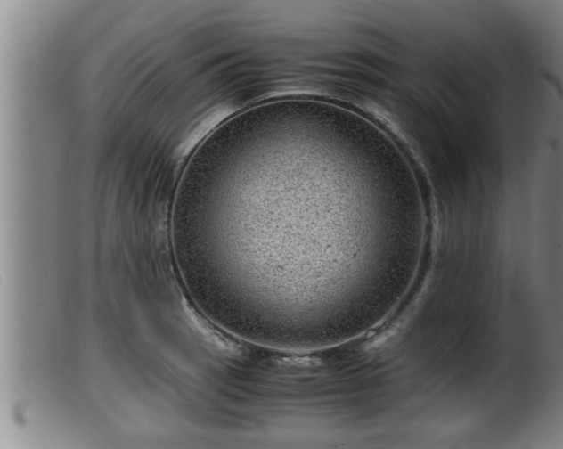 X0000099531137200805231055