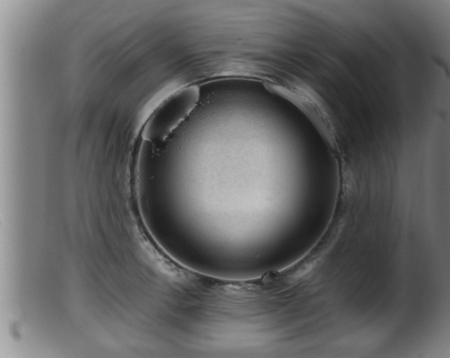 X0000099531138200805231055