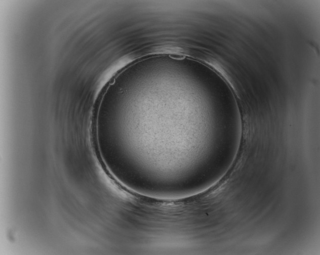 X0000099531139200805231055