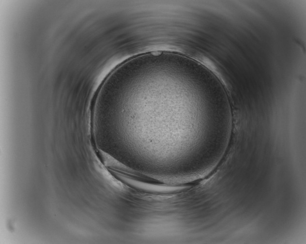 X0000099531140200805231056
