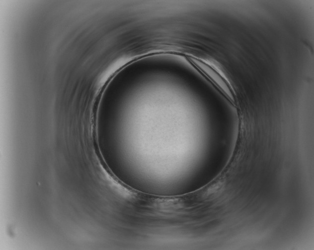 X0000099531143200805231056