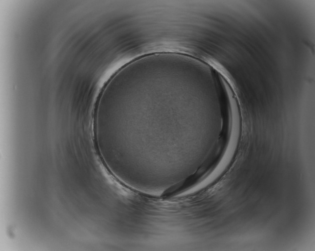 X0000099531144200805231056