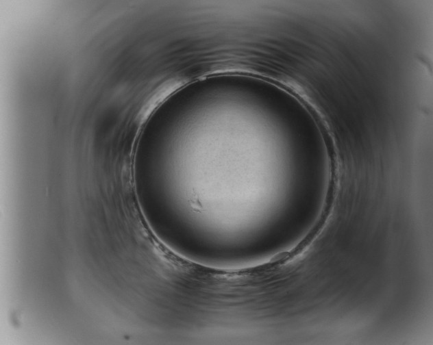 X0000099531145200805231056