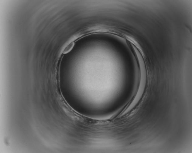 X0000099531146200805231056
