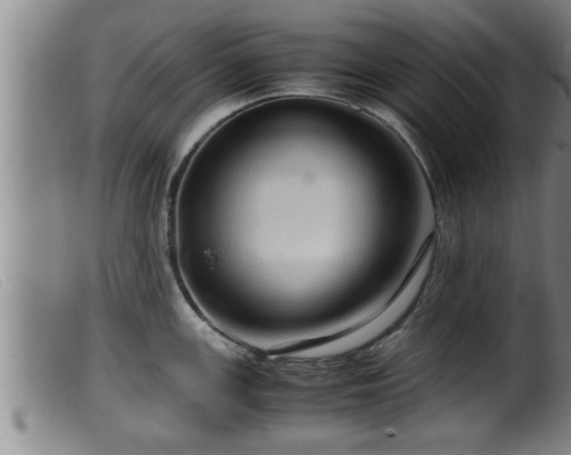 X0000099531147200805231056