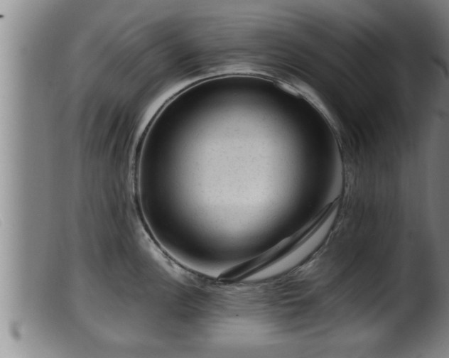 X0000099531148200805231056