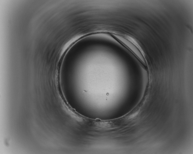 X0000099531149200805231056