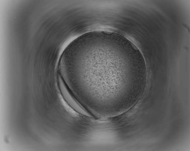 X0000099531152200805231056