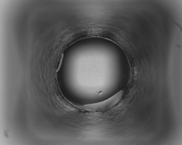 X0000099531153200805231055