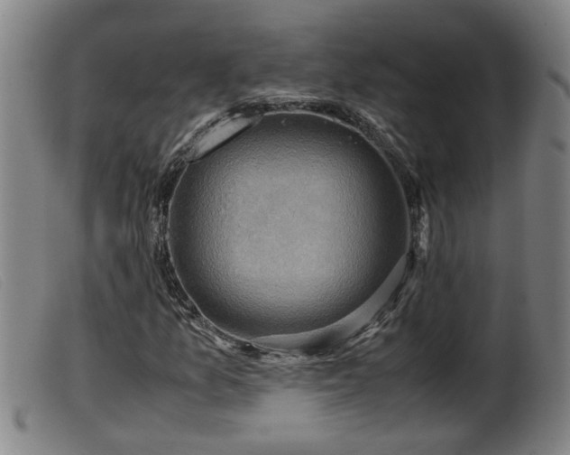 X0000099531157200805231055