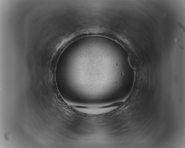 X0000099531160200805231055