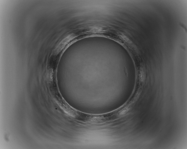 X0000099531161200805231055