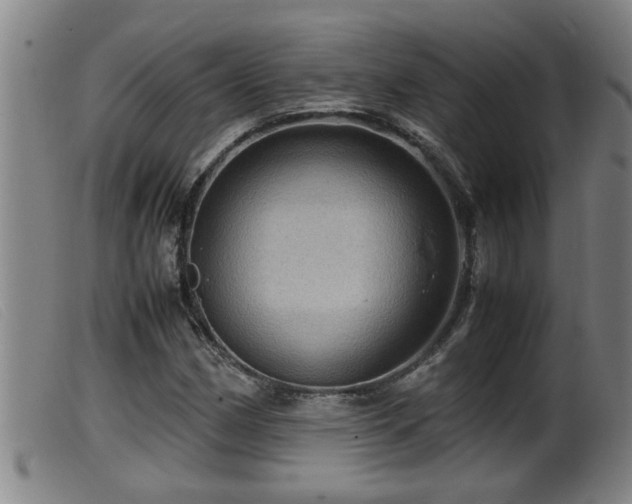X0000099531162200805231055