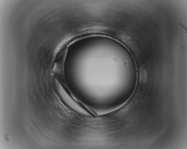 X0000099531164200805231055