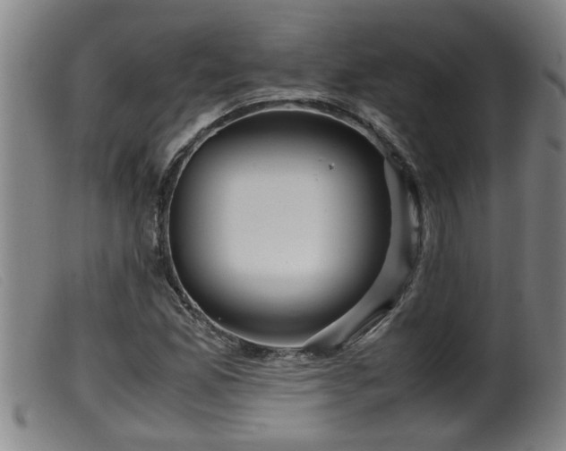 X0000099531165200805231055