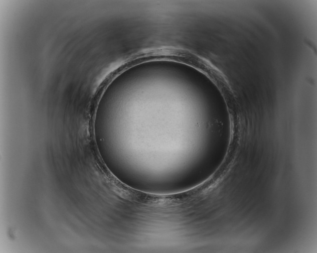 X0000099531166200805231055