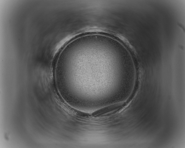 X0000099531167200805231055