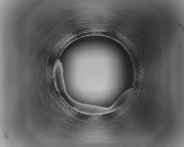 X0000099531169200805231055