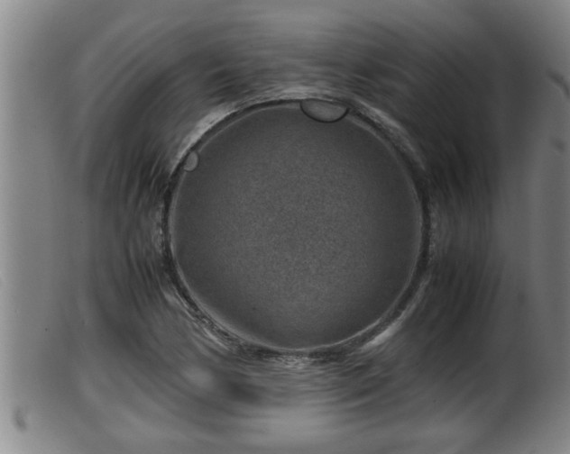 X0000099531170200805231055