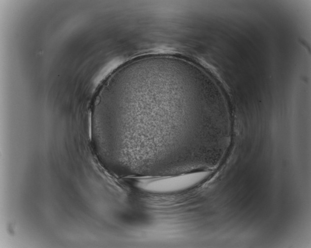 X0000099531171200805231055