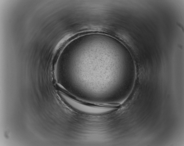 X0000099531172200805231055