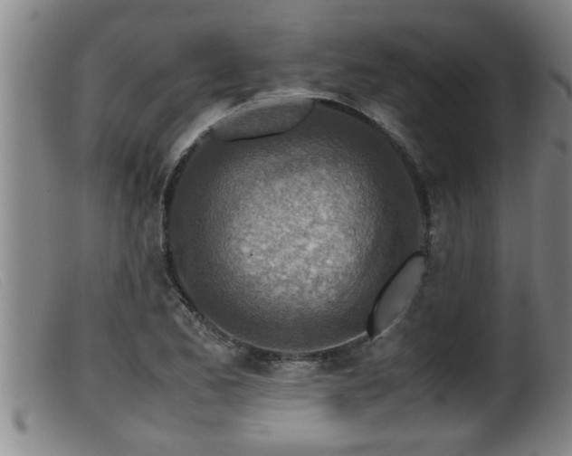 X0000099531173200805231055