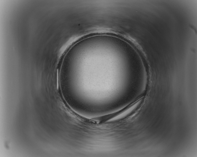 X0000099531175200805231055