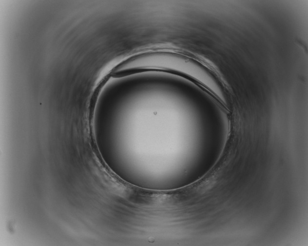 X0000099531176200805231055