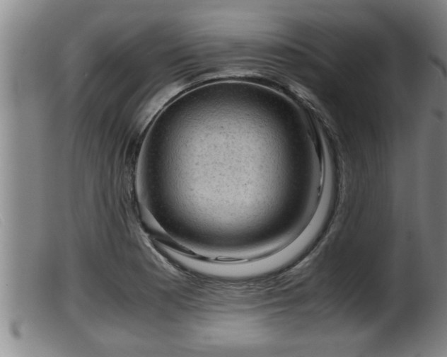 X0000099531177200805231055