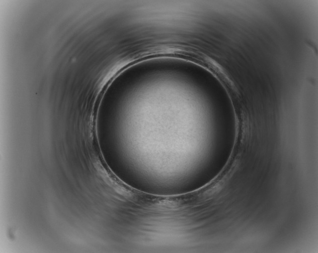 X0000099531178200805231055