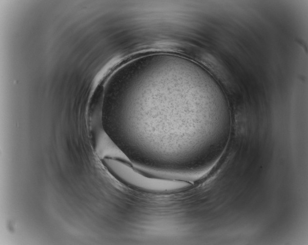X0000099531180200805231055