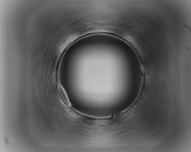 X0000099531181200805231055