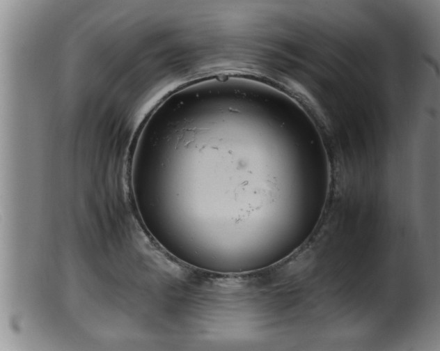 X0000099531182200805231055