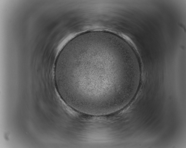 X0000099531183200805231054