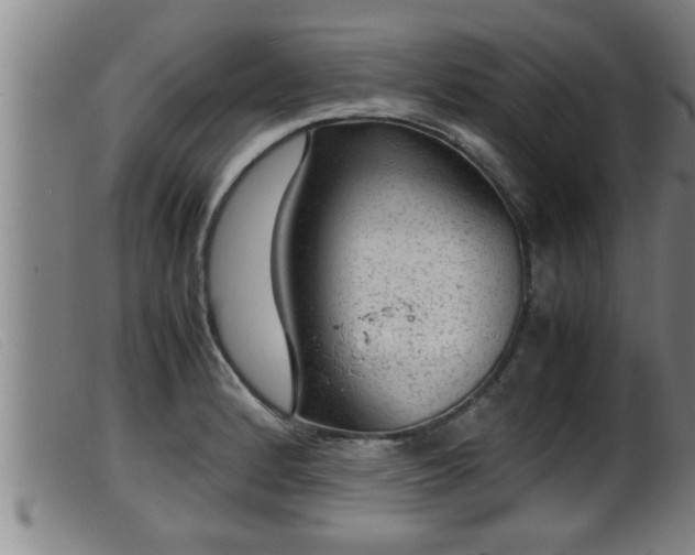 X0000099531184200805231054
