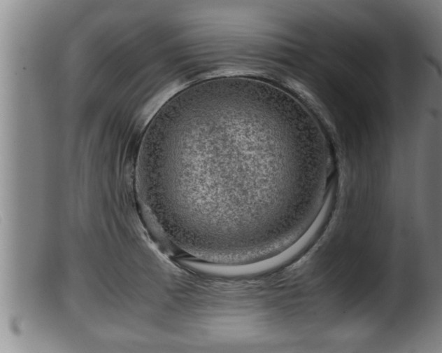 X0000099531185200805231054