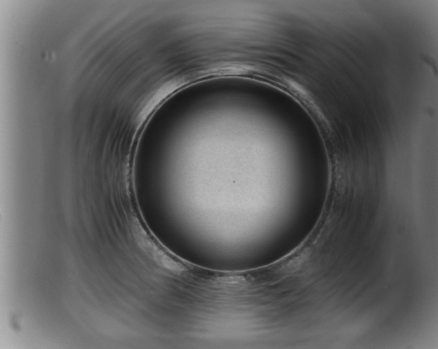 X0000099531186200805231054