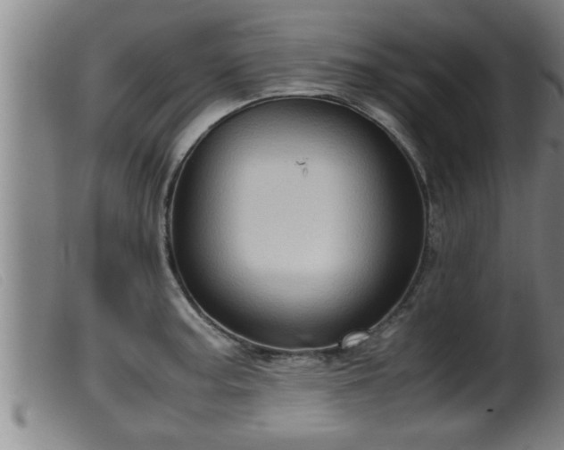 X0000099531187200805231054
