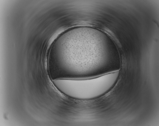 X0000099531188200805231054