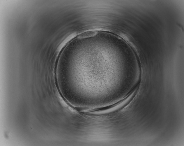 X0000099531189200805231054