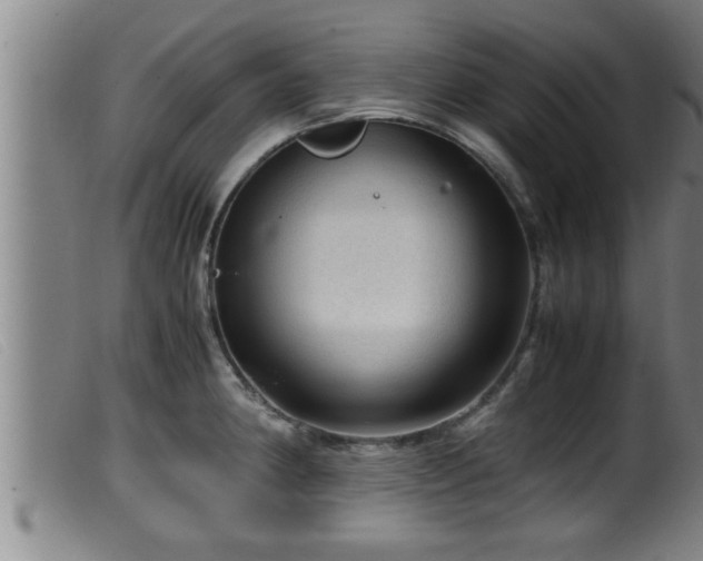 X0000099531190200805231054