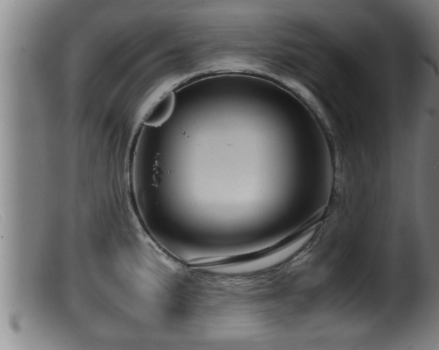 X0000099531191200805231054