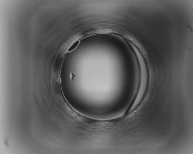 X0000099531193200805231054