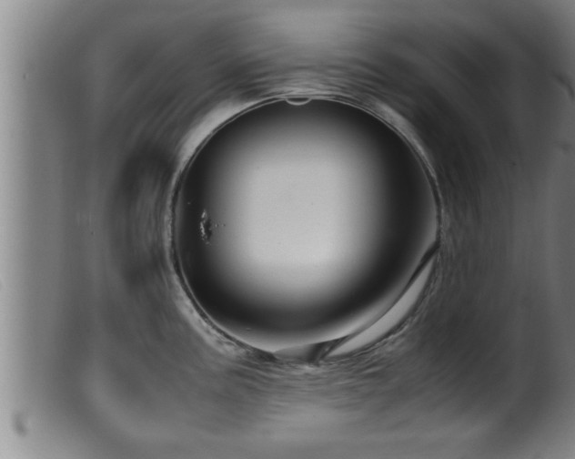 X0000099531195200805231054