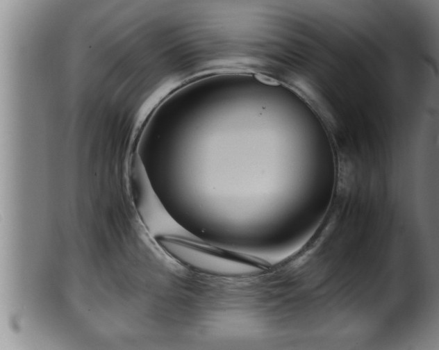 X0000099531196200805231054