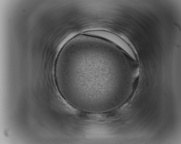 X0000099531197200805231054