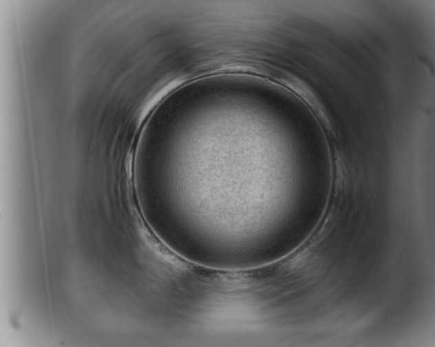 X0000099531198200805231054