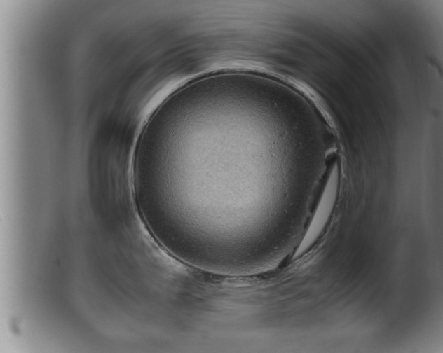 X0000099531199200805231054